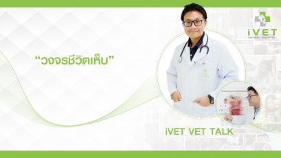 วงจรชีวิตเห็บ